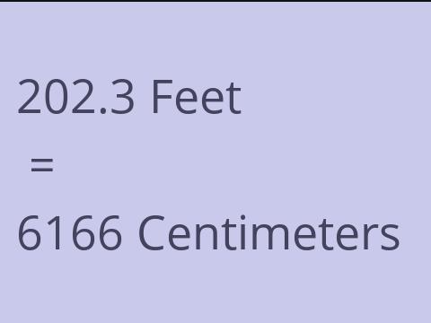 202.3 FEET TO CM