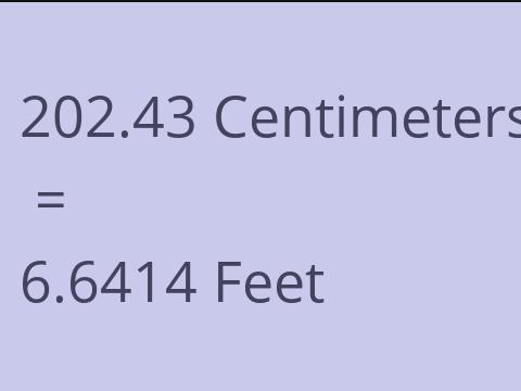 202.43 CM TO FEET