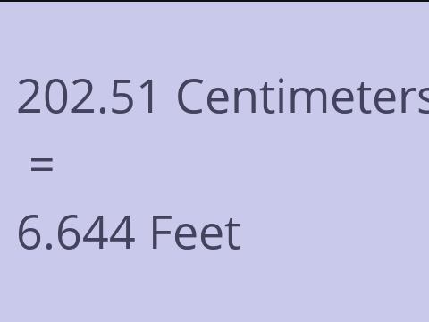 202.51 CM TO FEET