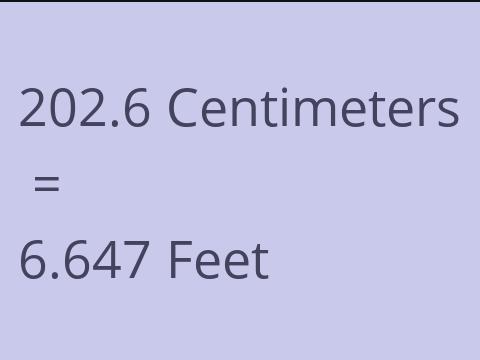 202.6 CM TO FEET