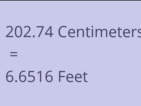 202.74 CM TO FEET