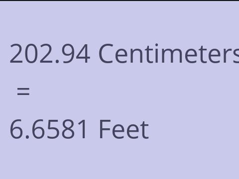 202.94 CM TO FEET