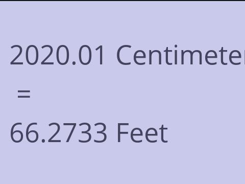 2020.01 CM TO FEET