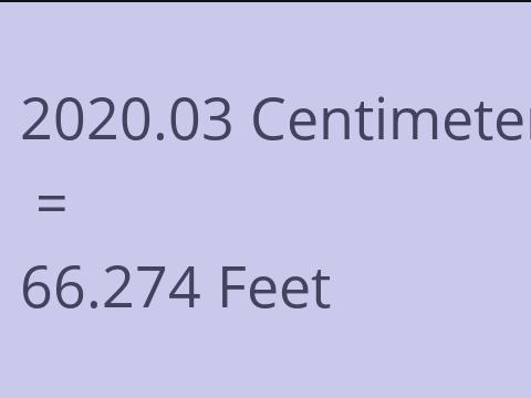 2020.03 CM TO FEET