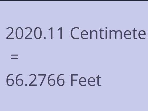 2020.11 CM TO FEET