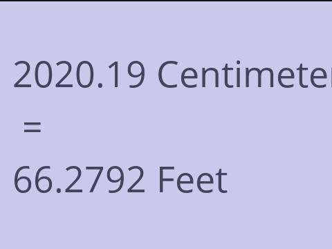 2020.19 CM TO FEET