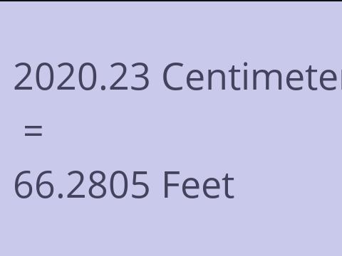 2020.23 CM TO FEET