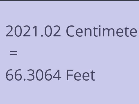 2021.02 CM TO FEET