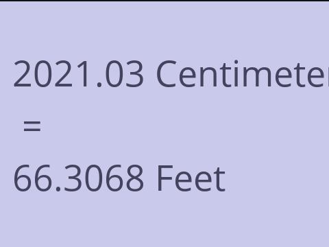 2021.03 CM TO FEET