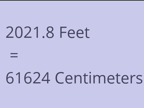 2021.8 FEET TO CM