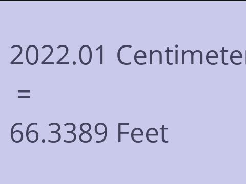 2022.01 CM TO FEET