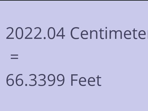 2022.04 CM TO FEET