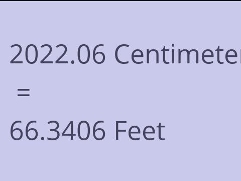 2022.06 CM TO FEET