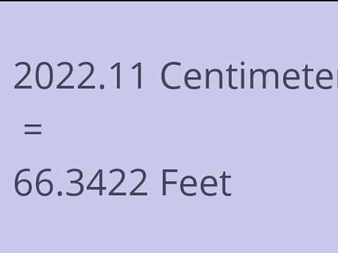 2022.11 CM TO FEET