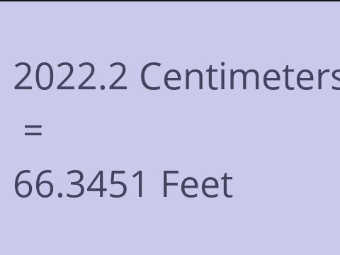 2022.2 CM TO FEET