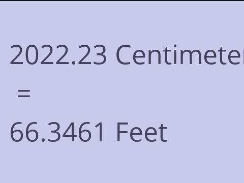 2022.23 CM TO FEET