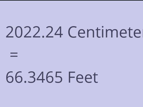 2022.24 CM TO FEET