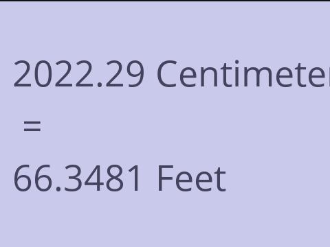 2022.29 CM TO FEET