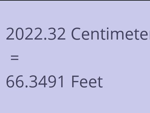 2022.32 CM TO FEET