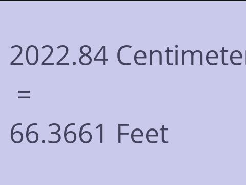 2022.84 CM TO FEET