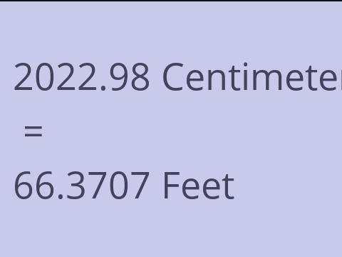 2022.98 CM TO FEET