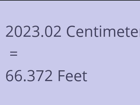 2023.02 CM TO FEET