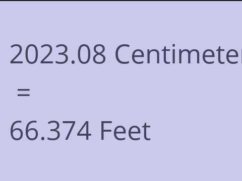 2023.08 CM TO FEET