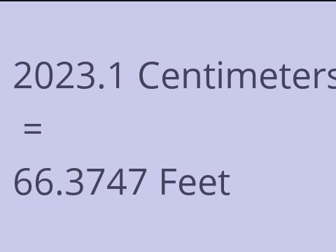 2023.1 CM TO FEET