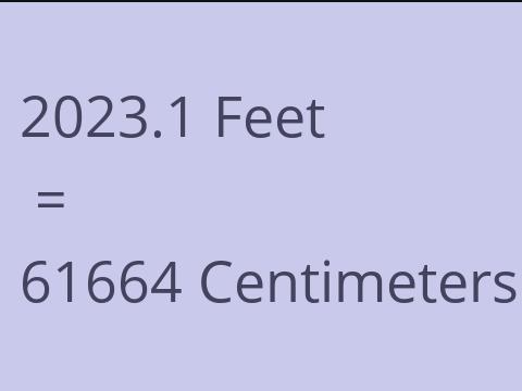 2023.1 FEET TO CM