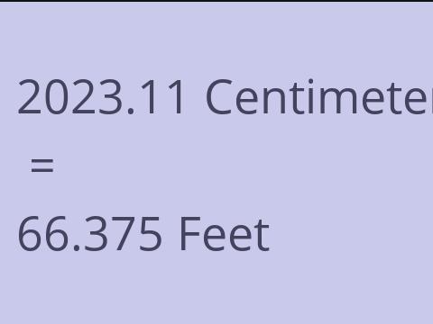 2023.11 CM TO FEET