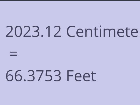 2023.12 CM TO FEET