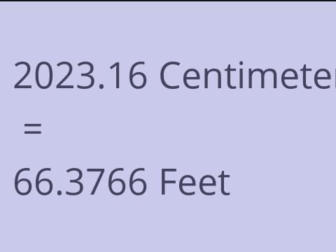 2023.16 CM TO FEET