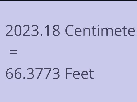 2023.18 CM TO FEET