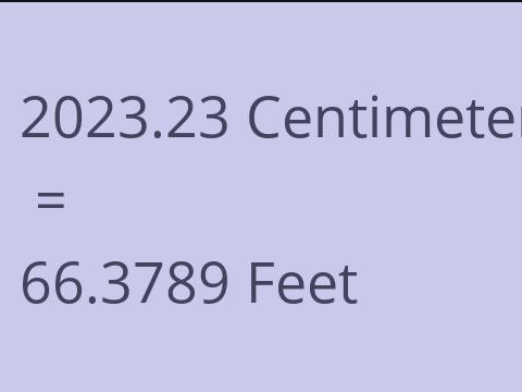 2023.23 CM TO FEET