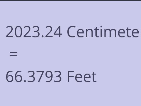 2023.24 CM TO FEET