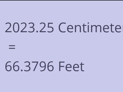 2023.25 CM TO FEET