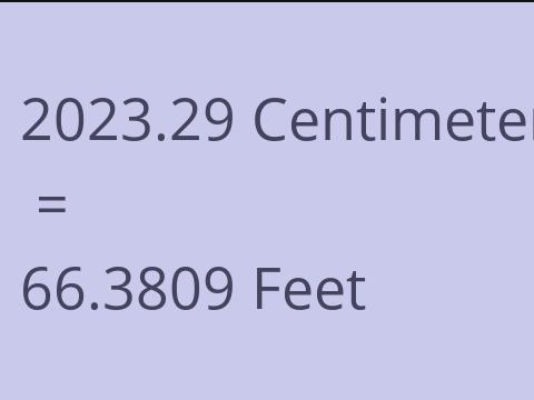 2023.29 CM TO FEET