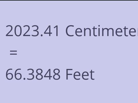 2023.41 CM TO FEET