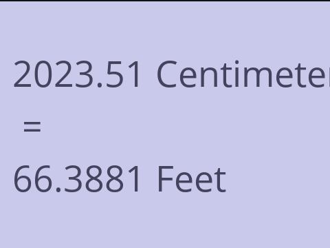 2023.51 CM TO FEET