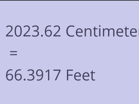 2023.62 CM TO FEET