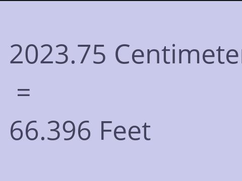 2023.75 CM TO FEET