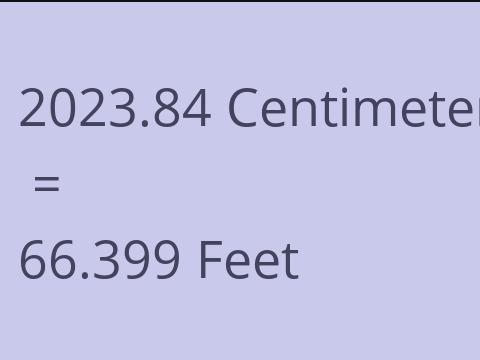 2023.84 CM TO FEET