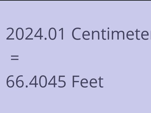 2024.01 CM TO FEET