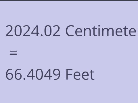 2024.02 CM TO FEET