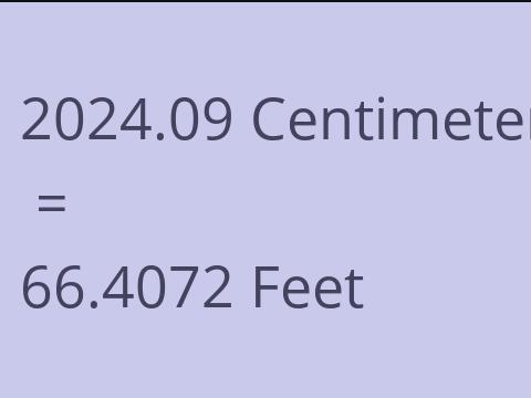 2024.09 CM TO FEET