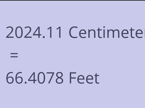 2024.11 CM TO FEET