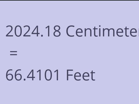 2024.18 CM TO FEET