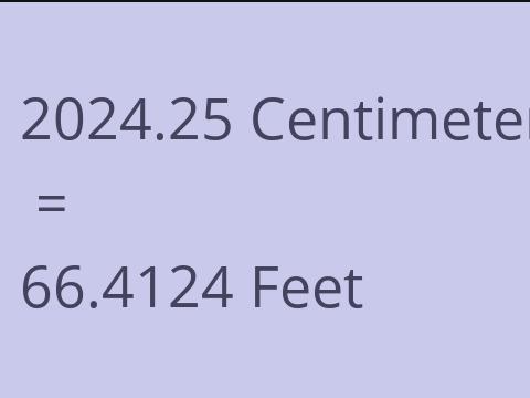 2024.25 CM TO FEET