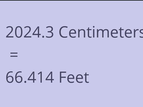 2024.3 CM TO FEET