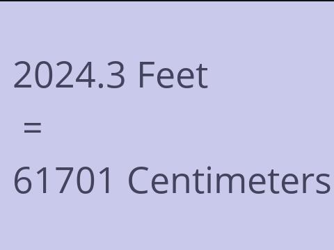 2024.3 FEET TO CM